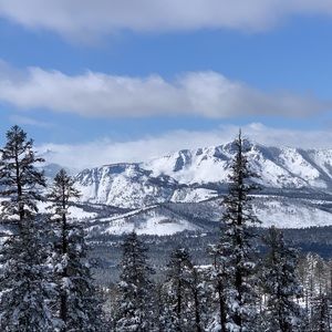 Meet your Posher, Travis